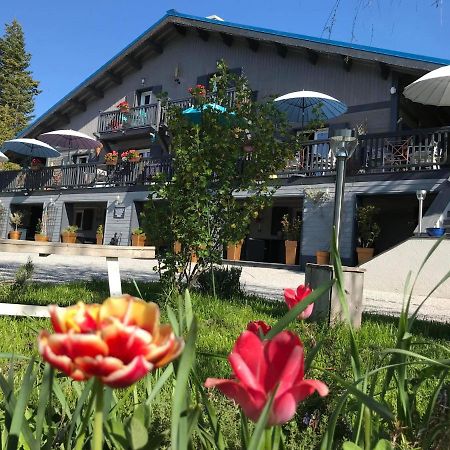 Bed and Breakfast L'Alpen Roc Caille Экстерьер фото